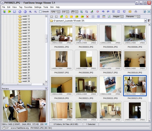 FastStone Image Viewer 3.1 screenshot (resized)
