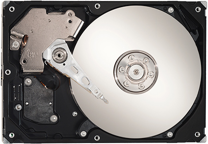 Seagate Barracuda 7200.10 (groot) Seagate Barracuda 7200.10 (groot)