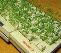 groen toetsenbord