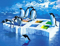 penguwindows