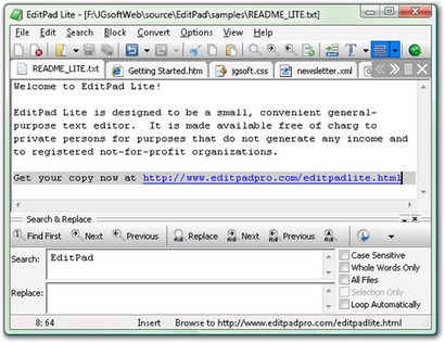 EditPad Lite screenshot (410 pix)