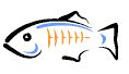 Sun GlassFish