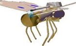 insect van de kanoniersbrigade