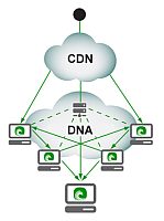 CDN en DNA