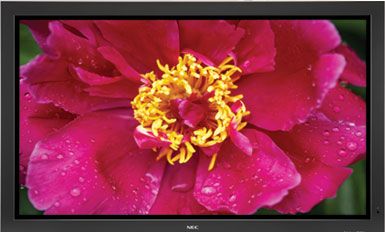 NEC 60XP10 plasma NEC 60XP10 plasma