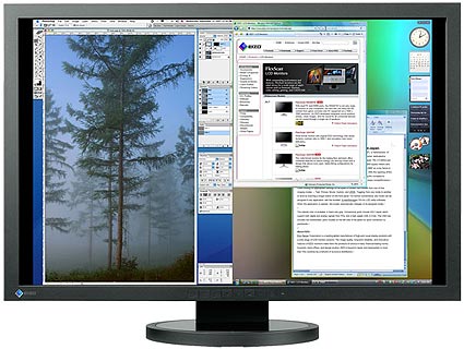 Eizo FlexScan SX3031W