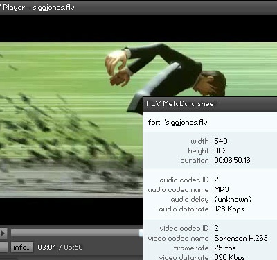 FLV Player 2.0 (crop)
