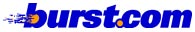 Burst logo