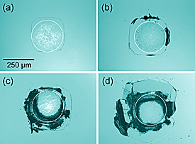 Vermoeiing in silicium Vermoeiing in silicium