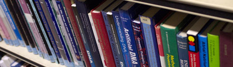 Rij met boeken Rij met boeken