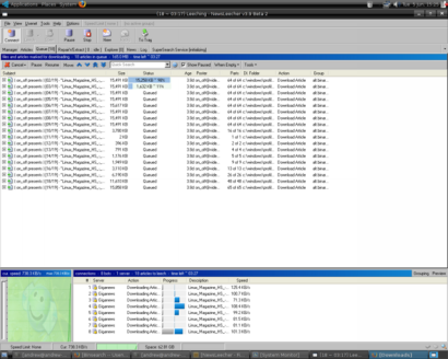 NewsLeecher 3.9 beta 2 screenshot (410 pix)