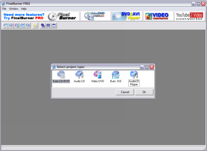 FinalBurner screenshot (410 pix)