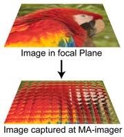 Multi-aperture beeldsensor 3 Standford University