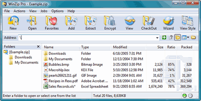 WinZip 11 screenshot (410 pix)