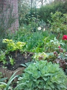 LG KF600 tuin2 klein