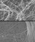 Nanobuizen (boven) en asbest (onder)