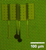 Microbots samengevoegd