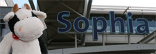 DPC Sponsoractie 2007: Koeien voor het Kinderziekenhuis