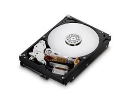 Hitachi Deskstar 7K1000.B