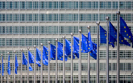 EU vlaggen EU vlaggen