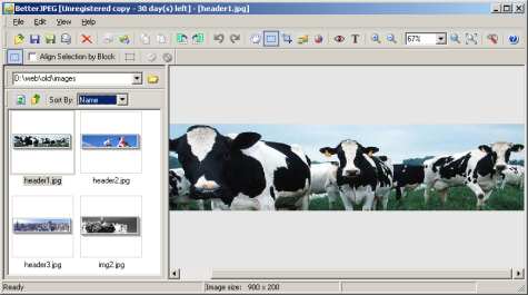 Betterjpeg 2.0.0.3