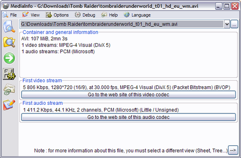 MediaInfo 0.7.7.5 screenshot (481 pix)