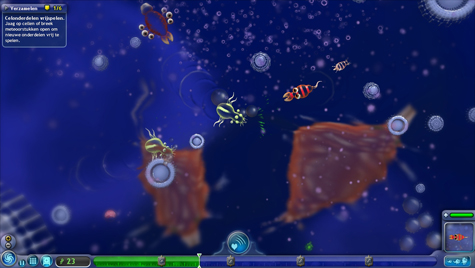 Spore Spore