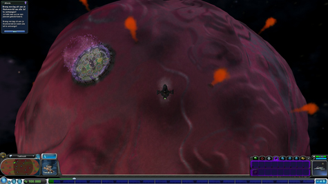 Spore Spore