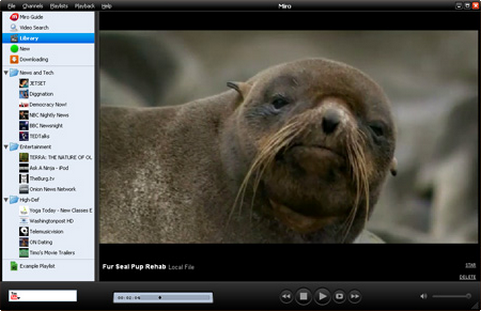 Miro screenshot (481 pix)