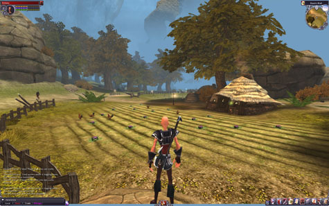 Review The Chronicles of Spellborn Review The Chronicles of Spellborn