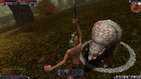 Review The Chronicles of Spellborn