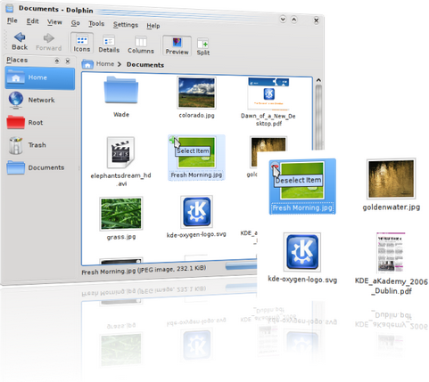 Dolphin in KDE 4.1