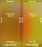 SanDisk X4-mlc-geheugen