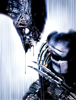 Alien vs Predator