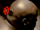 Valve's Head
