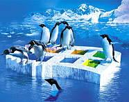 Microsoft/Linux