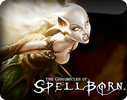 The Chronicles of Spellborn