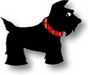 WinPatrol 2009 logo (75 pix)
