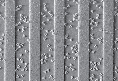 IBM dna-origami en dlc