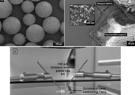 Microcapsules met nanobuizen