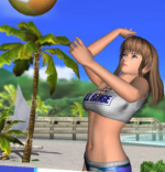 DOA Paradise