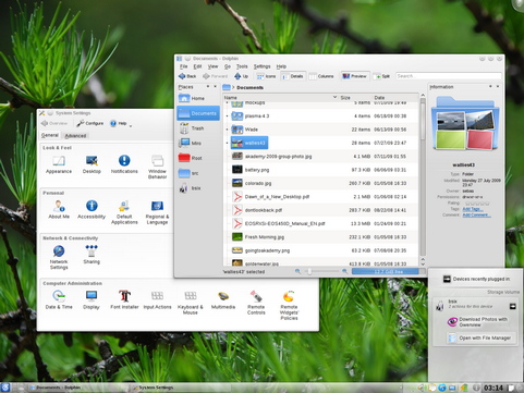 Dolphin en System Settings in KDE 4.4 screenshot