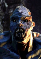 Hunted: The Demons Forge Hunted: The Demons Forge