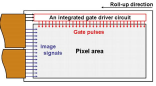 Sony integrated gate-driver circuit with OTFTs