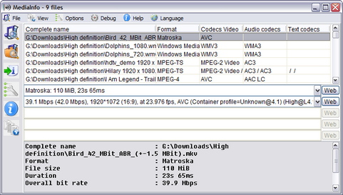 MediaInfo screenshot (481 pix) MediaInfo screenshot (481 pix)