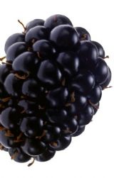 Een echte blackberry