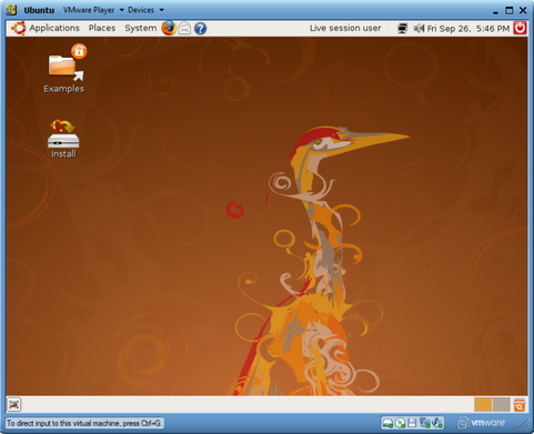 VMware Player screenshot (481 pix)