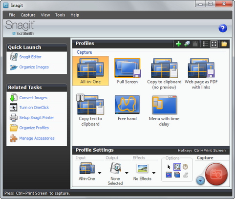 Snagit 10.0 screenshot (481 pix)