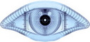 Nmap logo (60 pix)