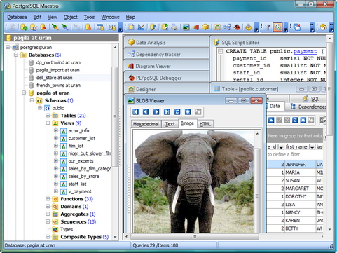 PostgreSQL screenshot (481 pix)